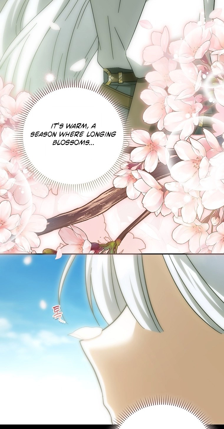 The White Tiger Princess is Not in Danger Chapter 43 page 45