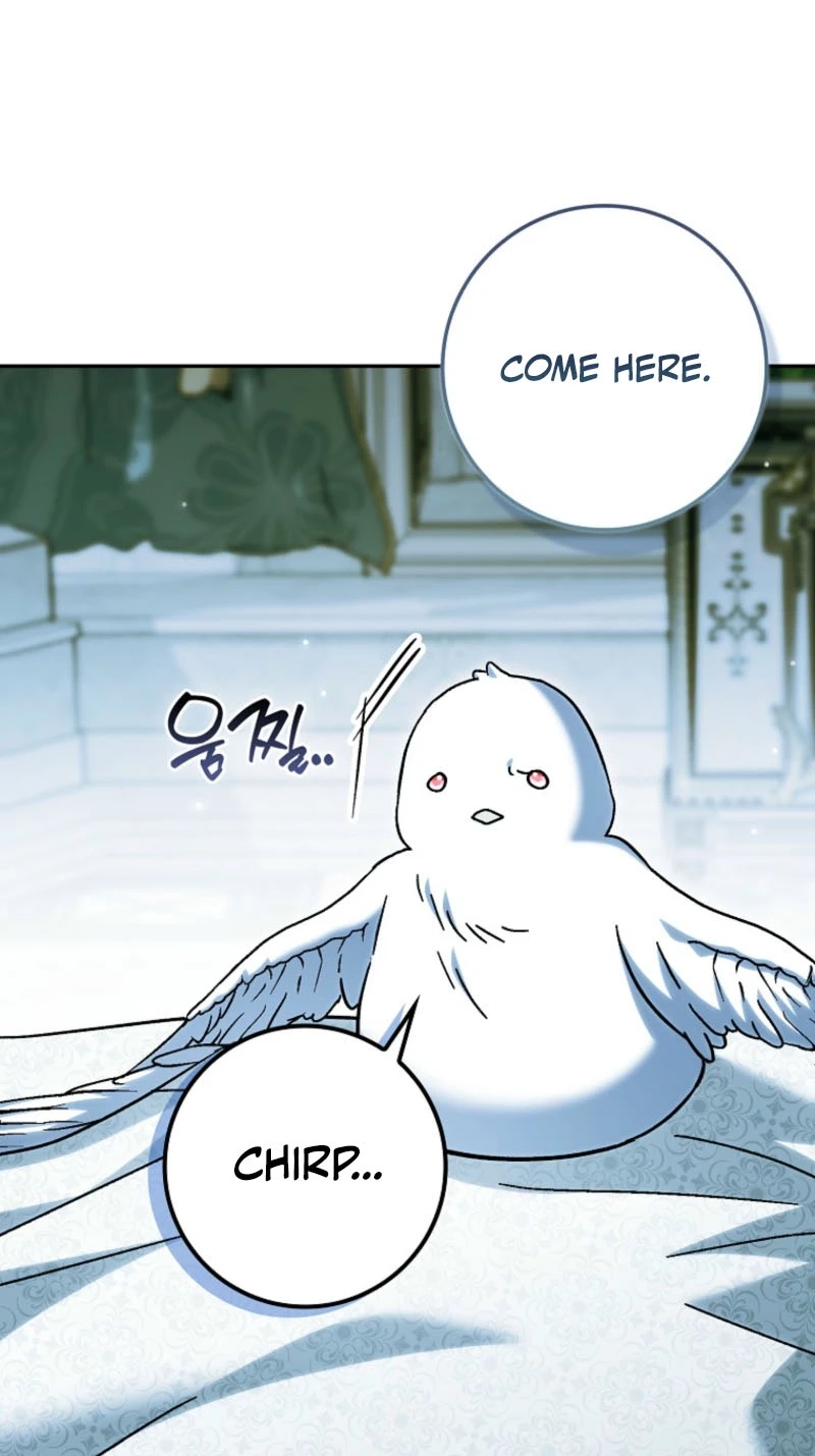 The White Tiger Princess is Not in Danger Chapter 48 page 84