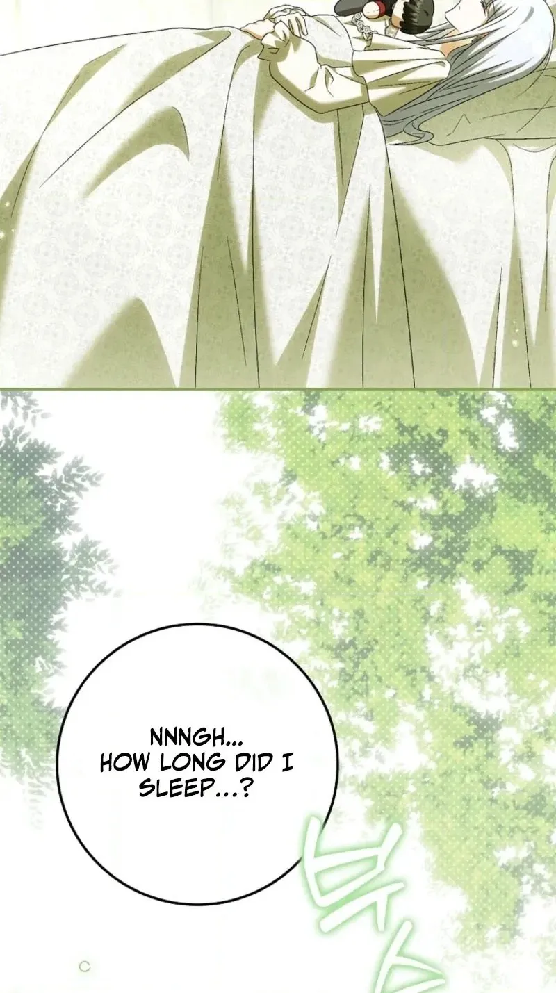 The White Tiger Princess is Not in Danger Chapter 49 page 40