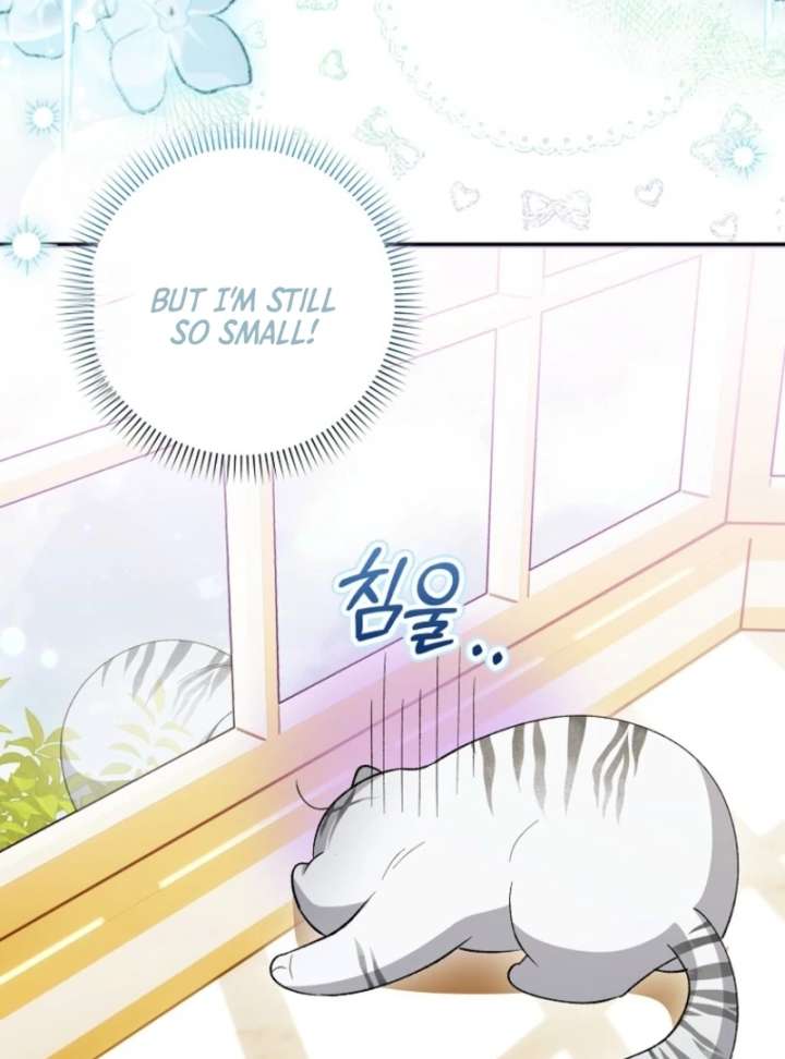 The White Tiger Princess is Not in Danger Chapter 8 page 6