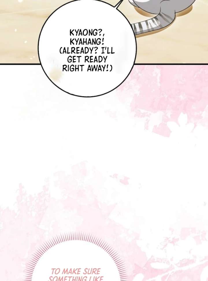 The White Tiger Princess is Not in Danger Chapter 8 page 23