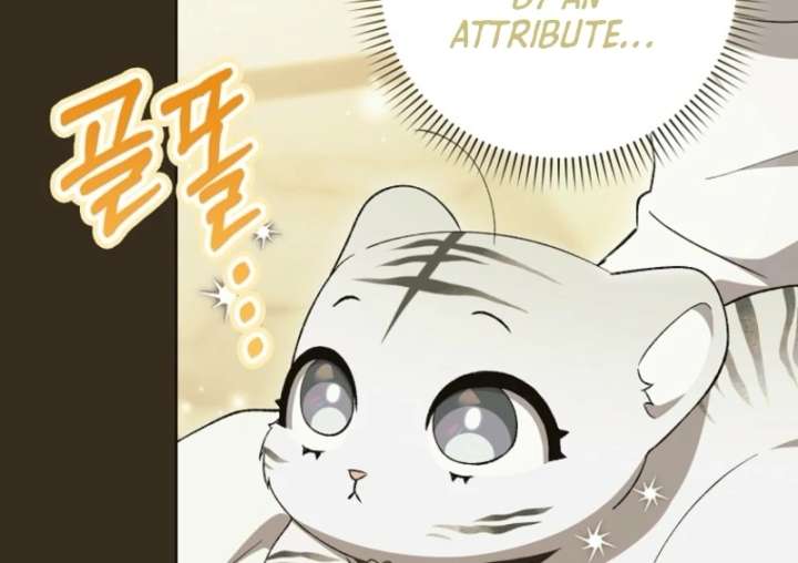 The White Tiger Princess is Not in Danger Chapter 8 page 62