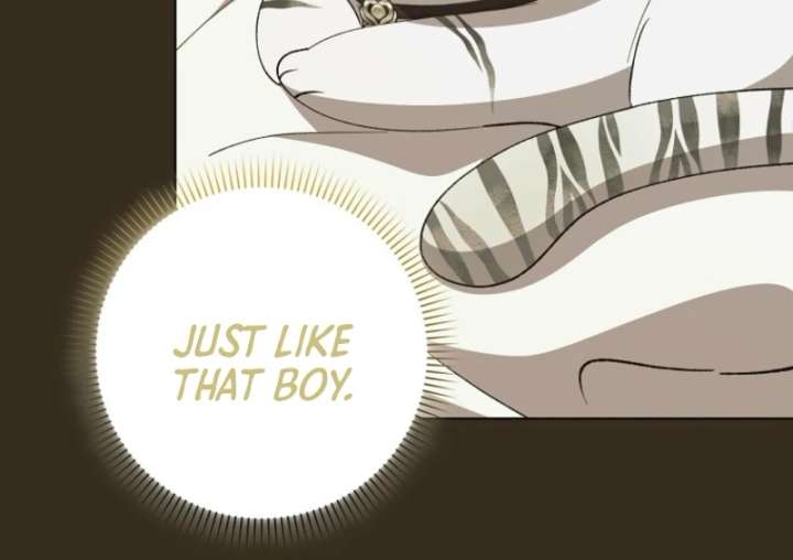 The White Tiger Princess is Not in Danger Chapter 8 page 63
