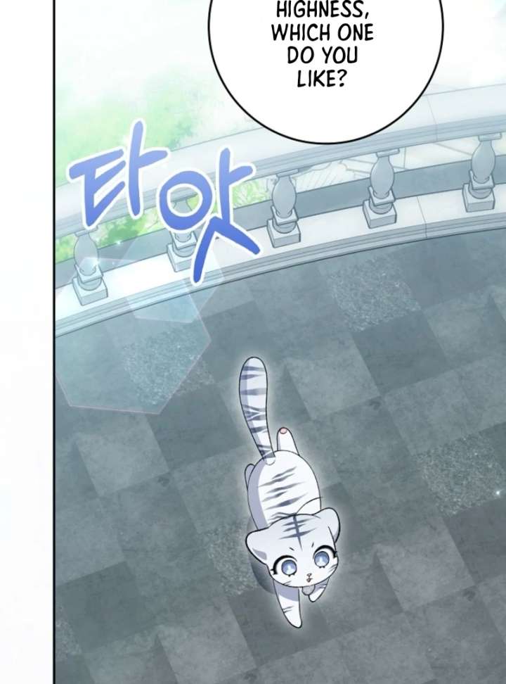 The White Tiger Princess is Not in Danger Chapter 8 page 104