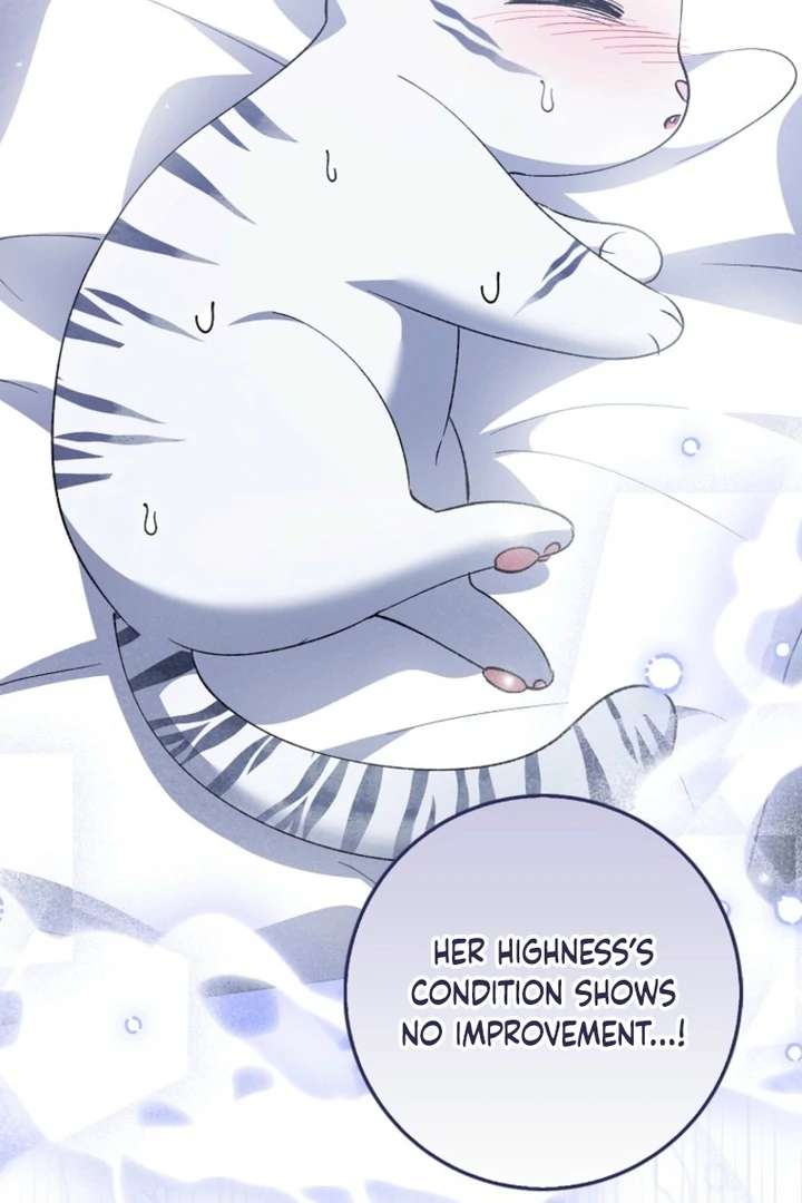 The White Tiger Princess is Not in Danger Chapter 9 page 19