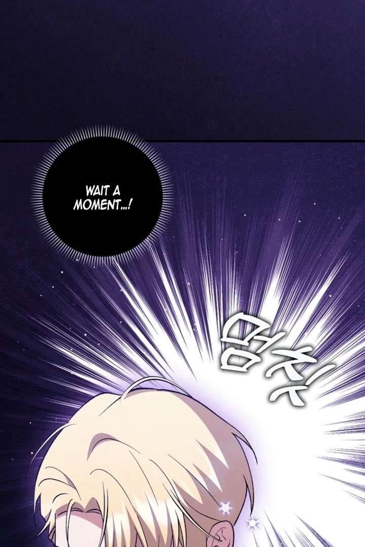 The White Tiger Princess is Not in Danger Chapter 9 page 27