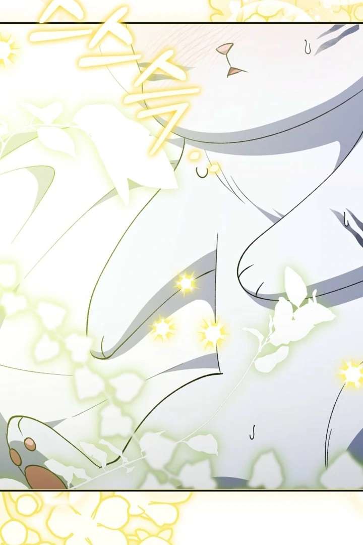 The White Tiger Princess is Not in Danger Chapter 9 page 64