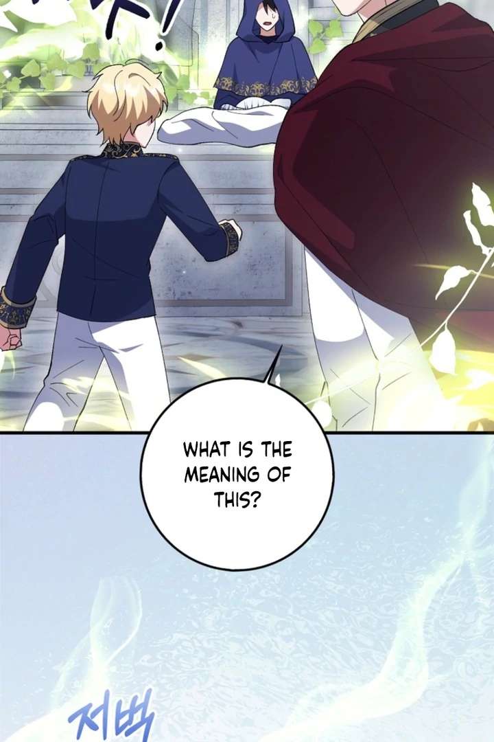 The White Tiger Princess is Not in Danger Chapter 9 page 66