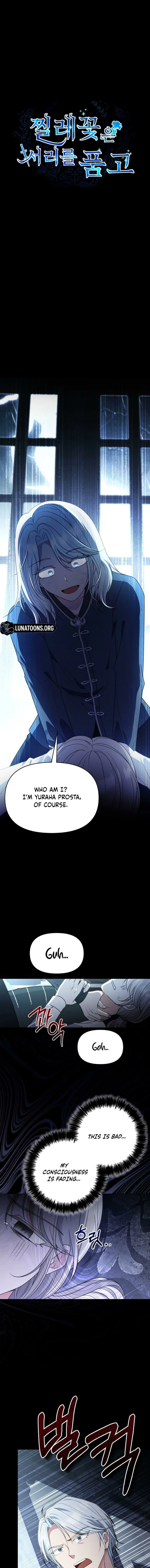 The Wild Rose Embraces the Frost Chapter 22 page 1