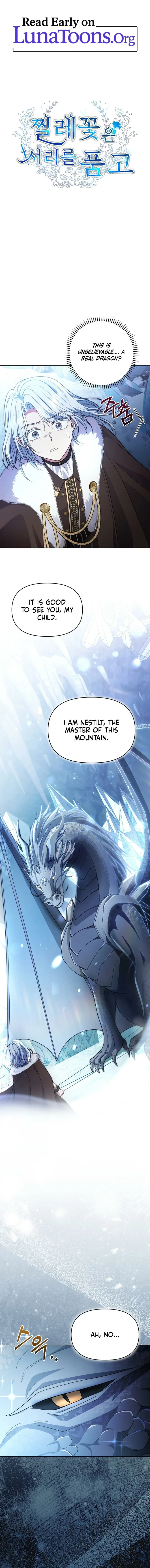 The Wild Rose Embraces the Frost Chapter 23 page 1