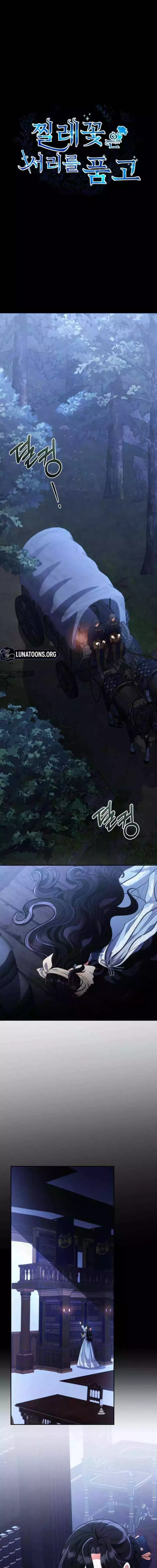 The Wild Rose Embraces the Frost Chapter 33 page 1
