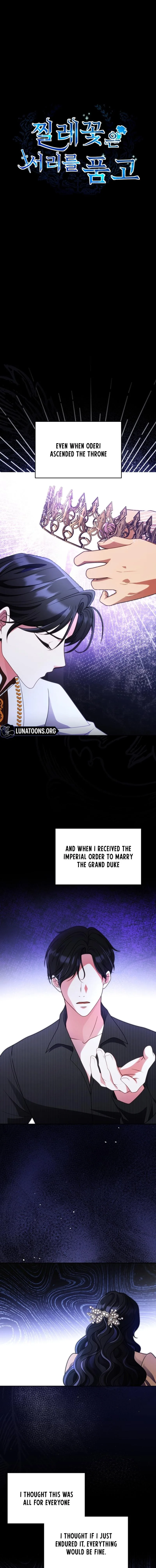 The Wild Rose Embraces the Frost Chapter 34 page 1