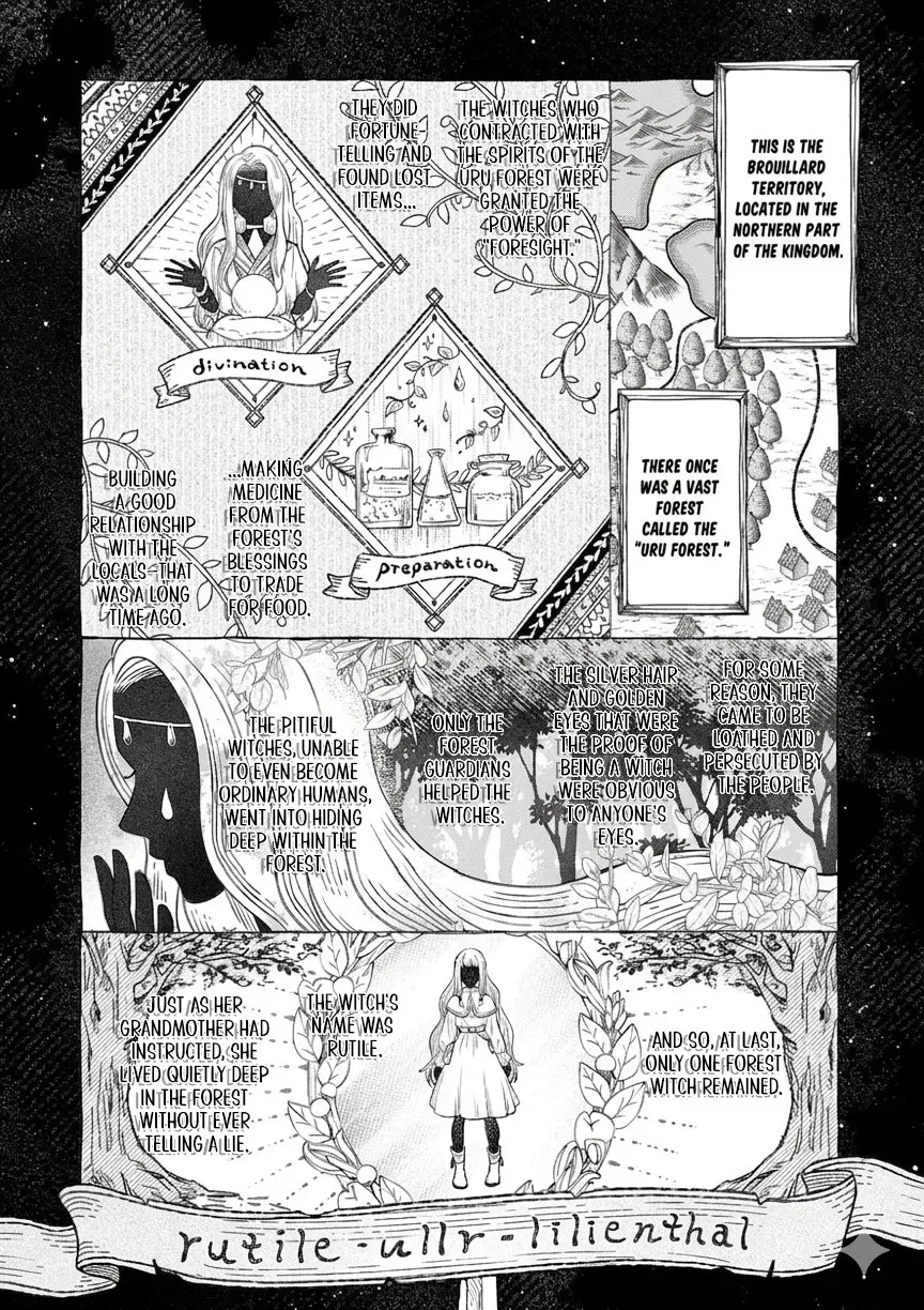 The Witch of Ullr's Forest Chapter 1 page 11