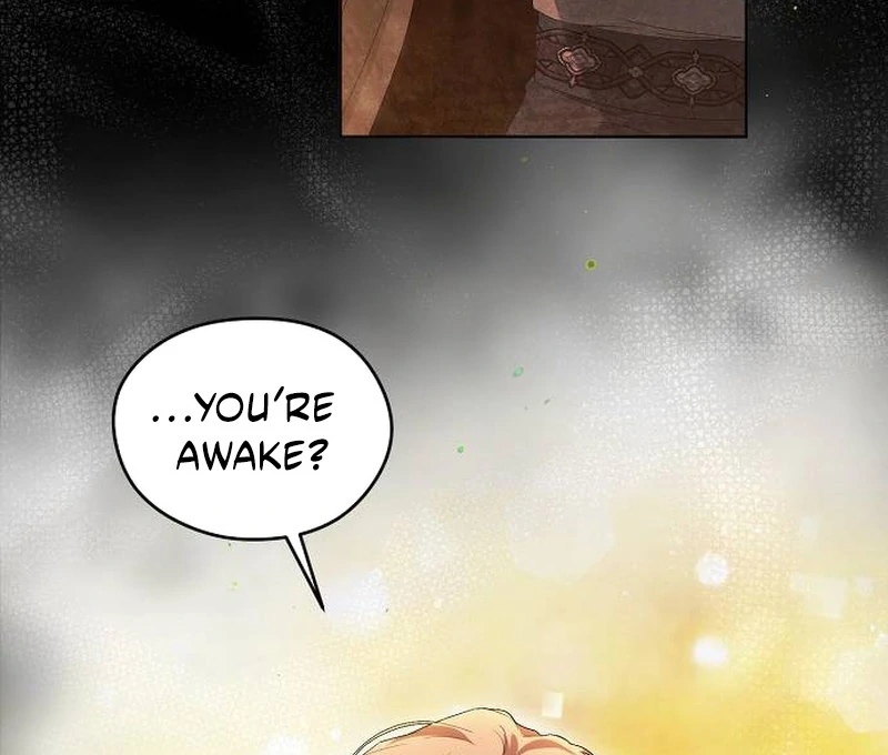 There Are No Benefits for the Possessor Chapter 30 page 101