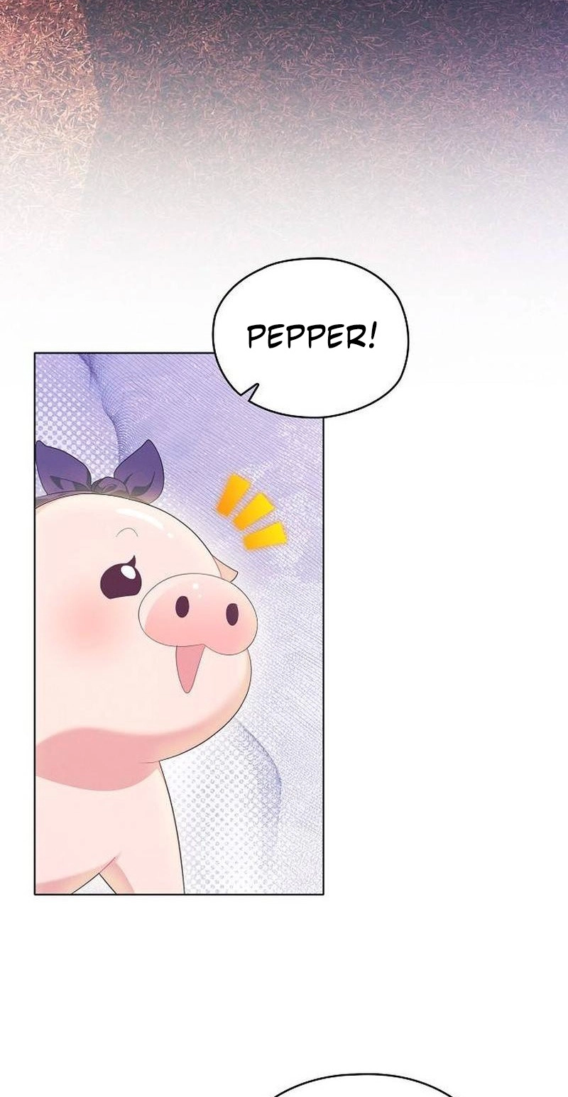 There Are No Benefits for the Possessor Chapter 63 page 11