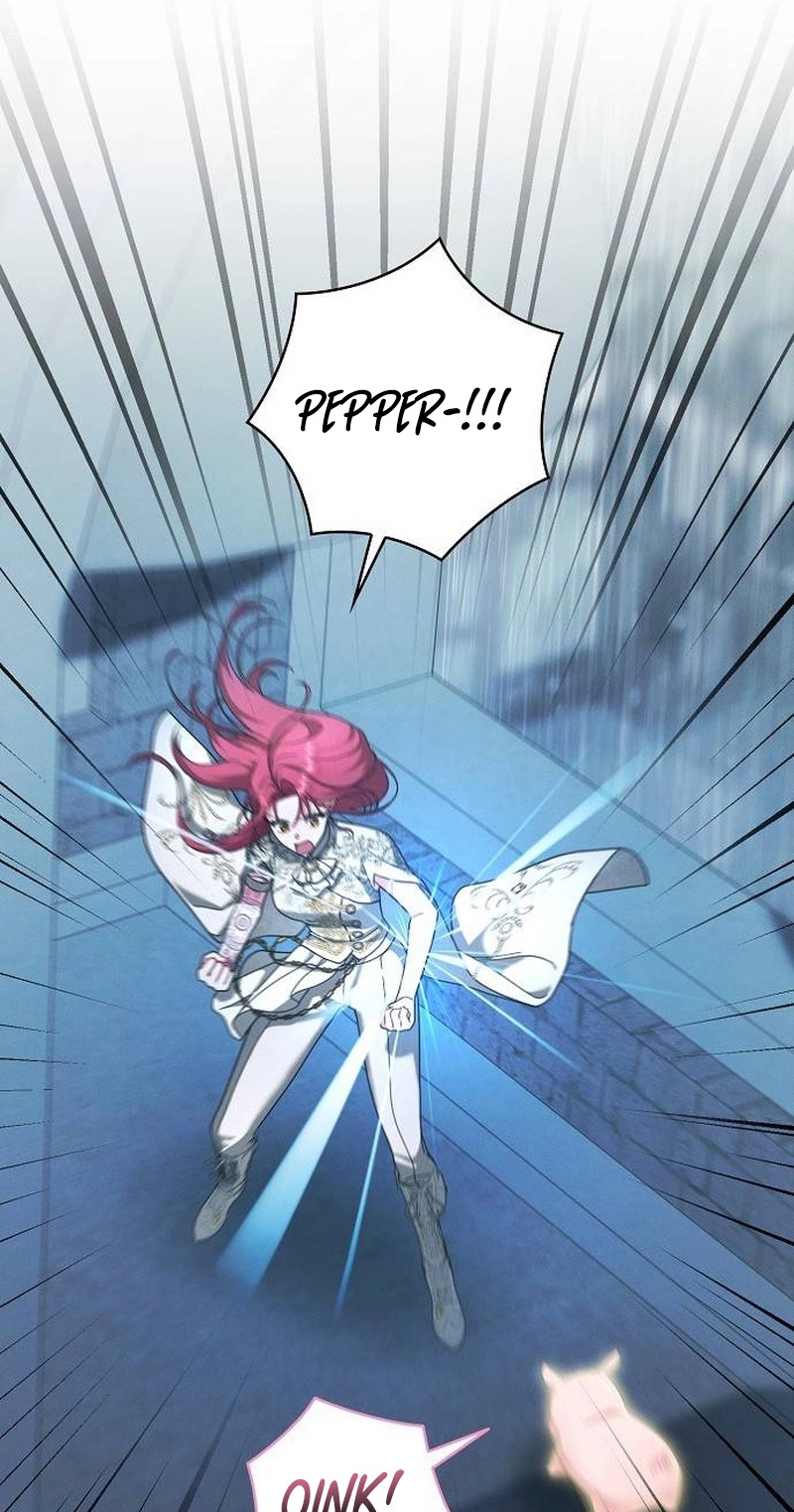 There Are No Benefits for the Possessor Chapter 65 page 43