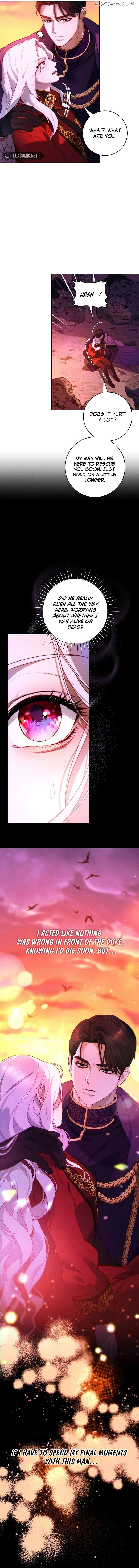 This Marriage Will Surely Succeed Chapter 1 page 8