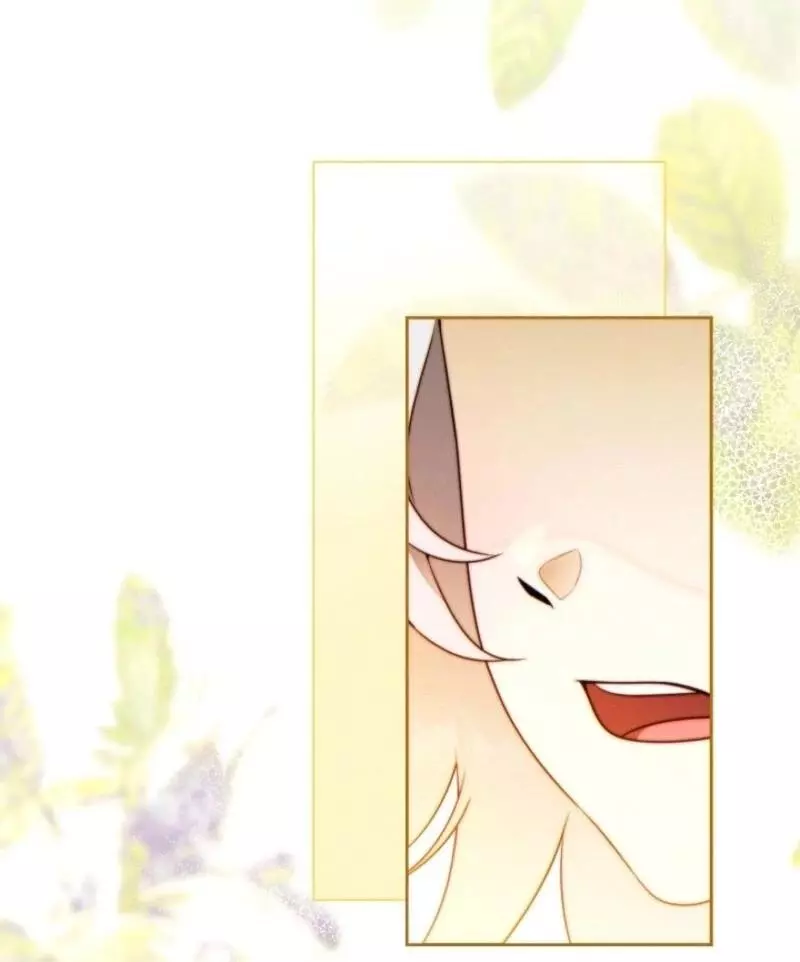 This Marriage Will Surely Succeed Chapter 41 page 145