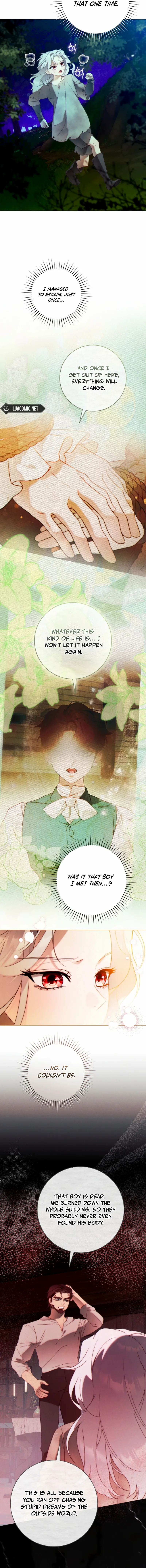 This Marriage Will Surely Succeed Chapter 43 page 7