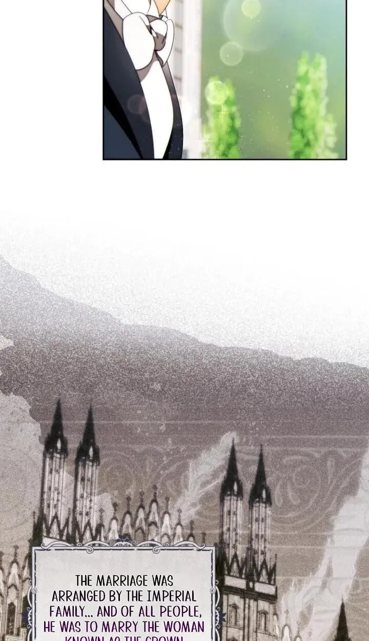 This Marriage Will Surely Succeed Chapter 66 page 10