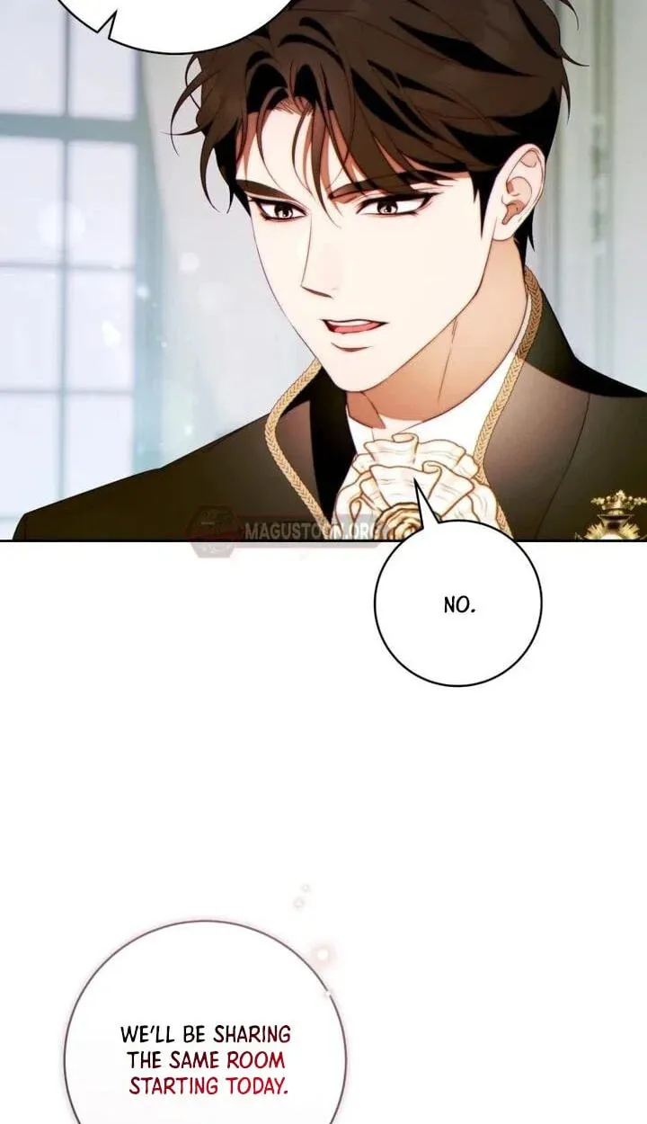 This Marriage Will Surely Succeed Chapter 66 page 42