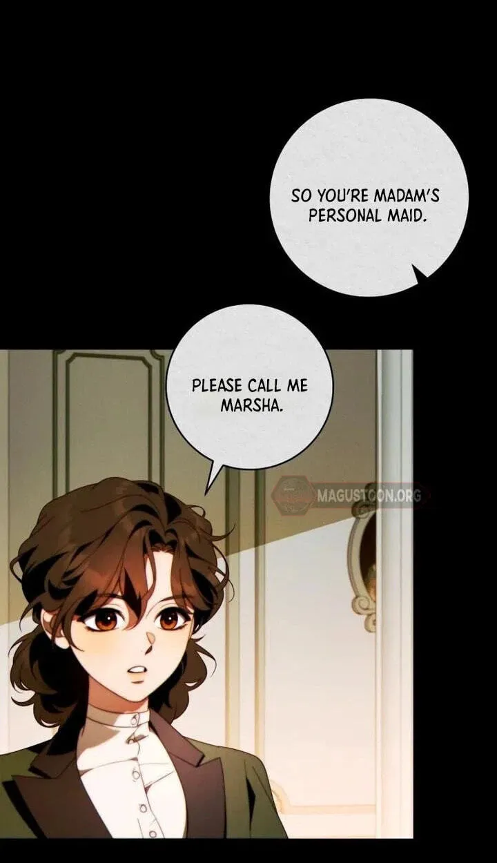 This Marriage Will Surely Succeed Chapter 66 page 66