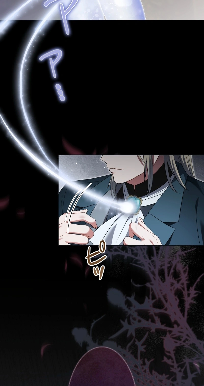 This Obsessive Love Runs Deeper Than Blood Chapter 45 page 67
