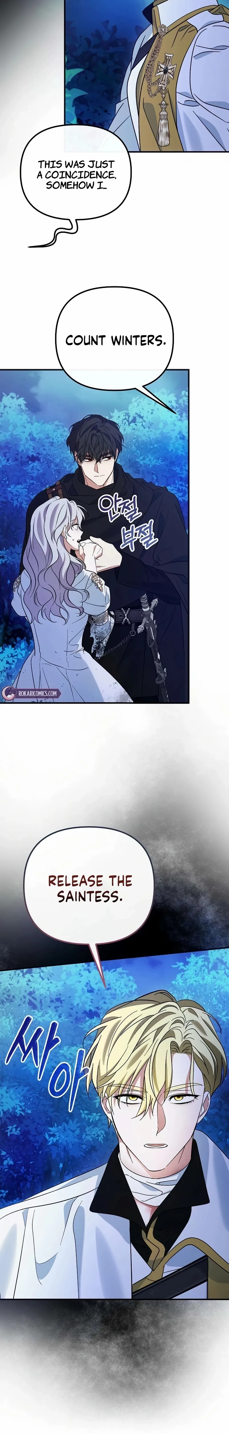 This Retired Saintess Will Raise Your Property Value Chapter 14 page 9