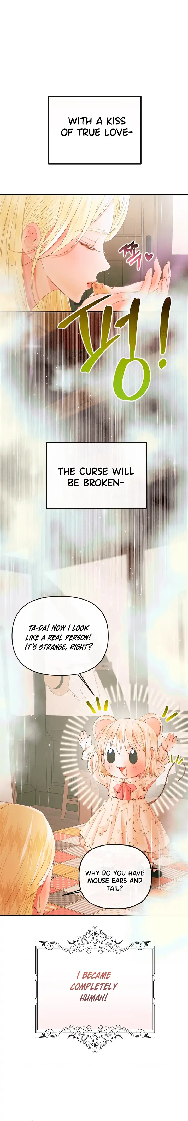 This wild mouse has taken Cinderella Chapter 0 page 12