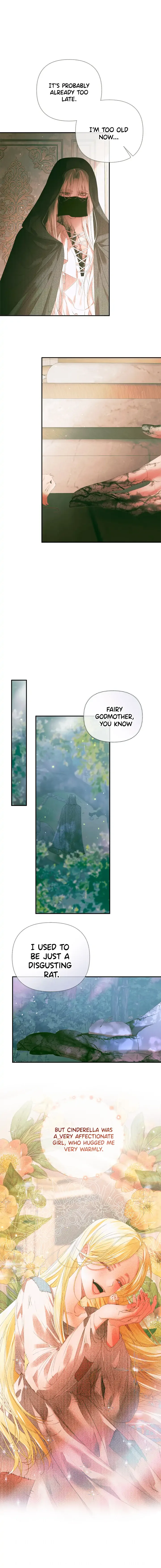 This wild mouse has taken Cinderella Chapter 0 page 9