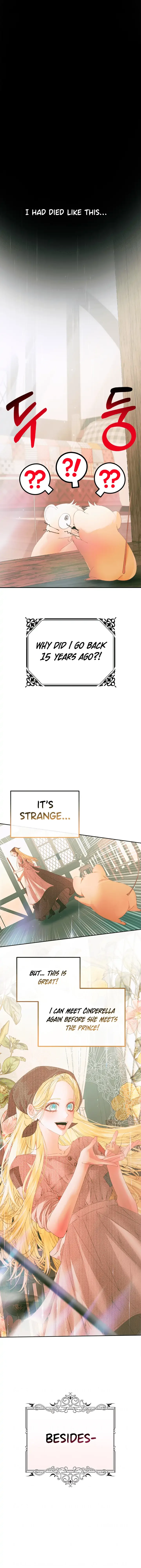 This wild mouse has taken Cinderella Chapter 0 page 11