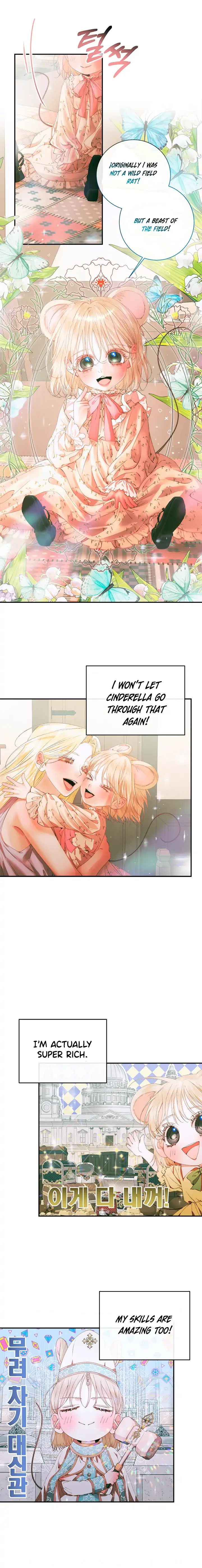 This wild mouse has taken Cinderella Chapter 0 page 13
