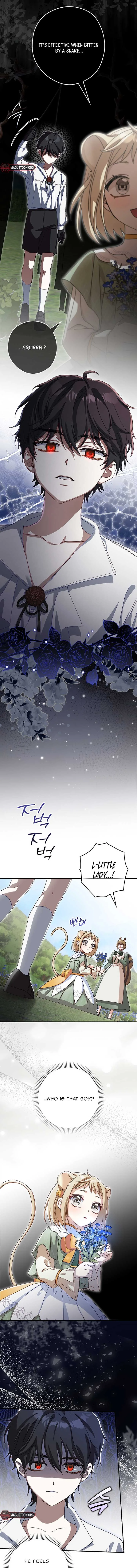 This wild mouse has taken Cinderella Chapter 13 page 12