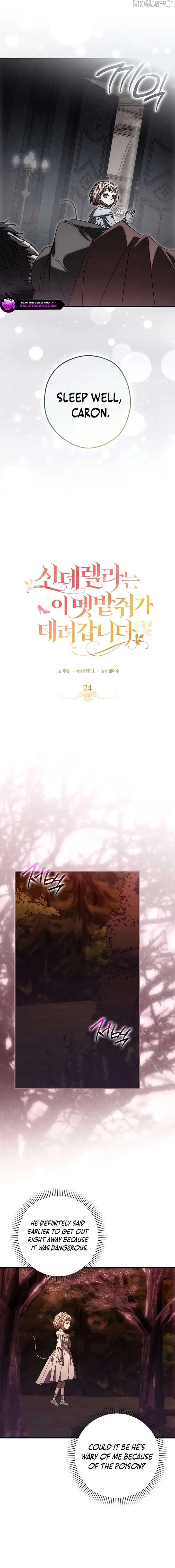 This wild mouse has taken Cinderella Chapter 24 page 4