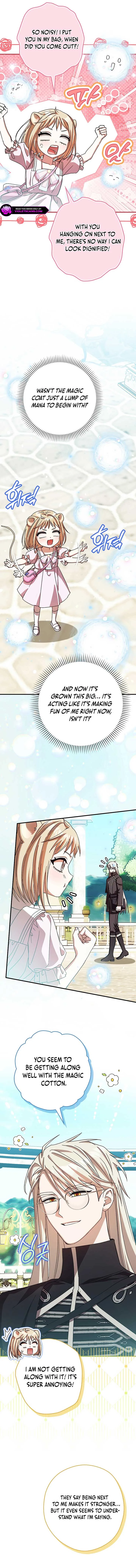 This wild mouse has taken Cinderella Chapter 26 page 3