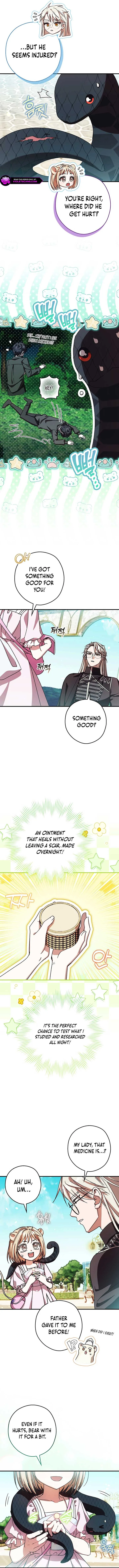This wild mouse has taken Cinderella Chapter 26 page 8