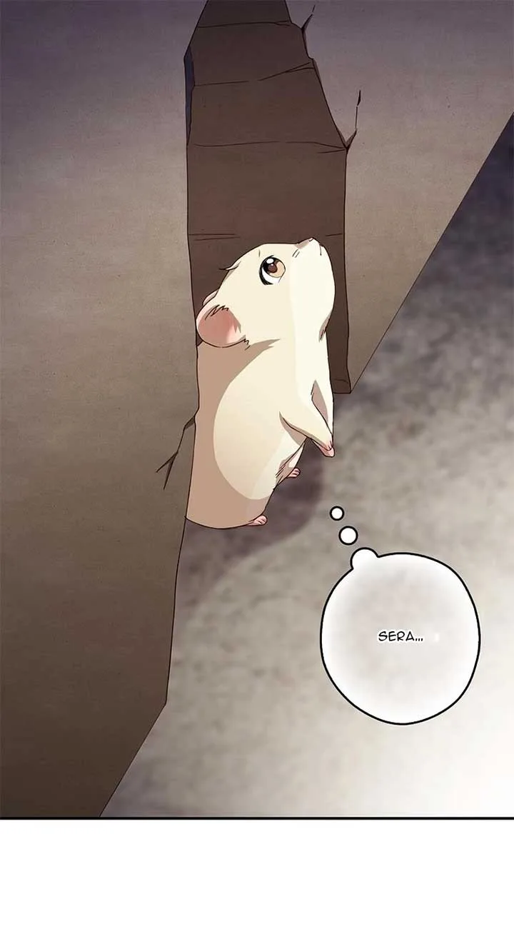 This wild mouse has taken Cinderella Chapter 4 page 44