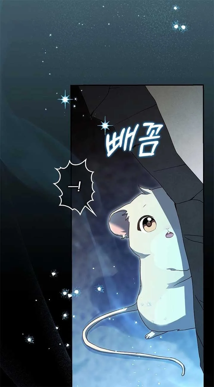 This wild mouse has taken Cinderella Chapter 4 page 50