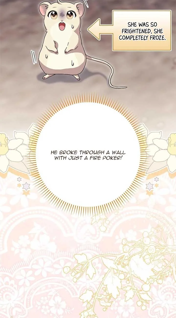 This wild mouse has taken Cinderella Chapter 4 page 74
