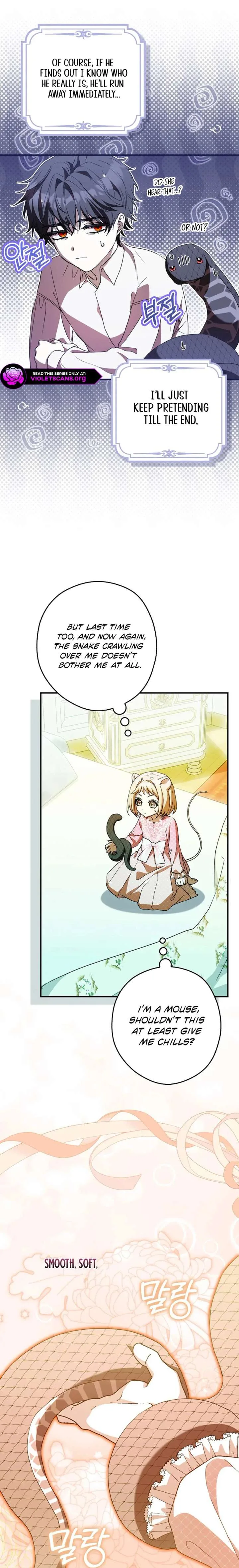 This wild mouse has taken Cinderella Chapter 43 page 5