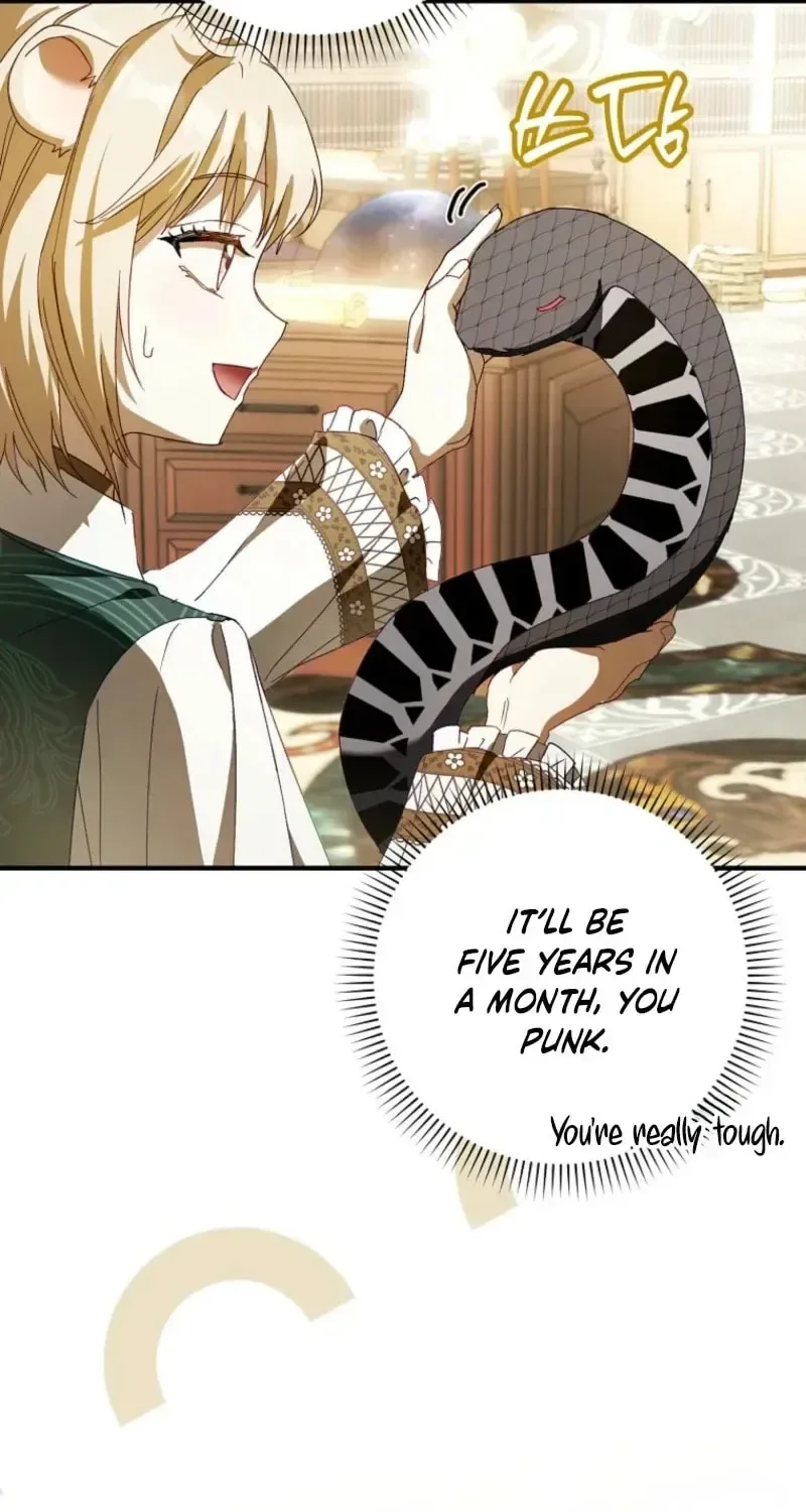 This wild mouse has taken Cinderella Chapter 45 page 47