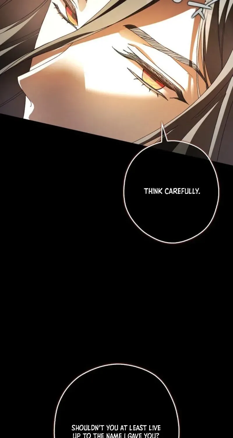 This wild mouse has taken Cinderella Chapter 46 page 81