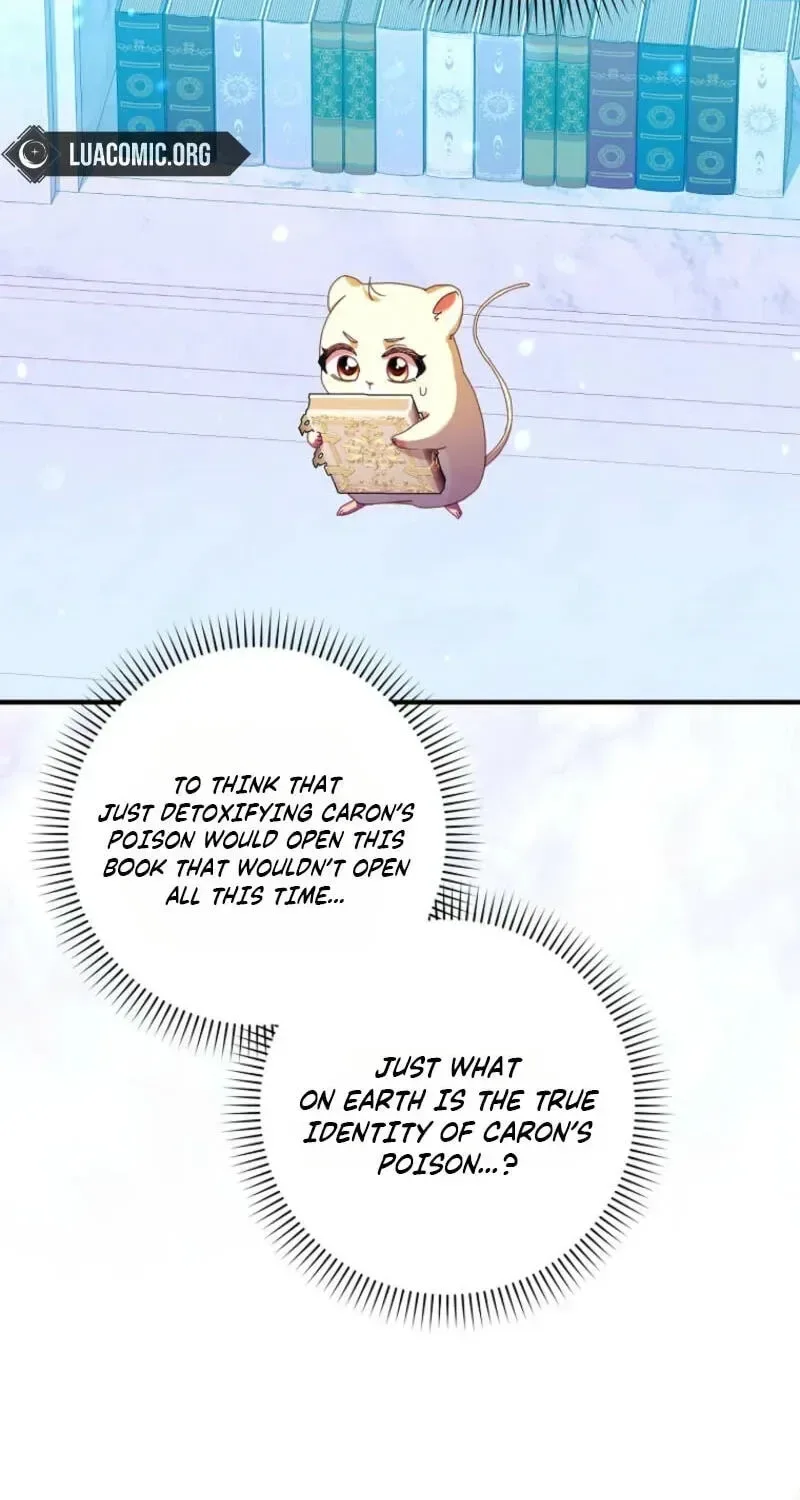 This wild mouse has taken Cinderella Chapter 48 page 11