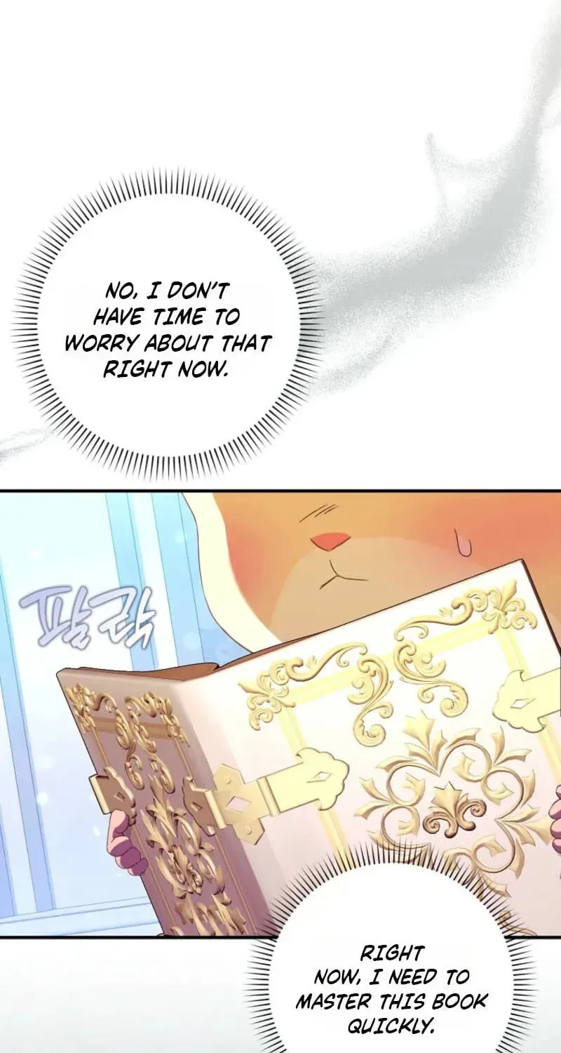 This wild mouse has taken Cinderella Chapter 48 page 13