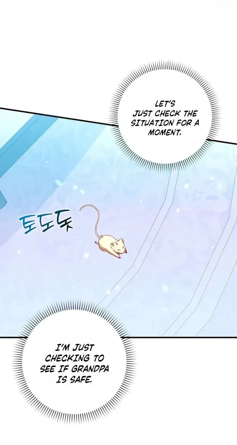 This wild mouse has taken Cinderella Chapter 48 page 39