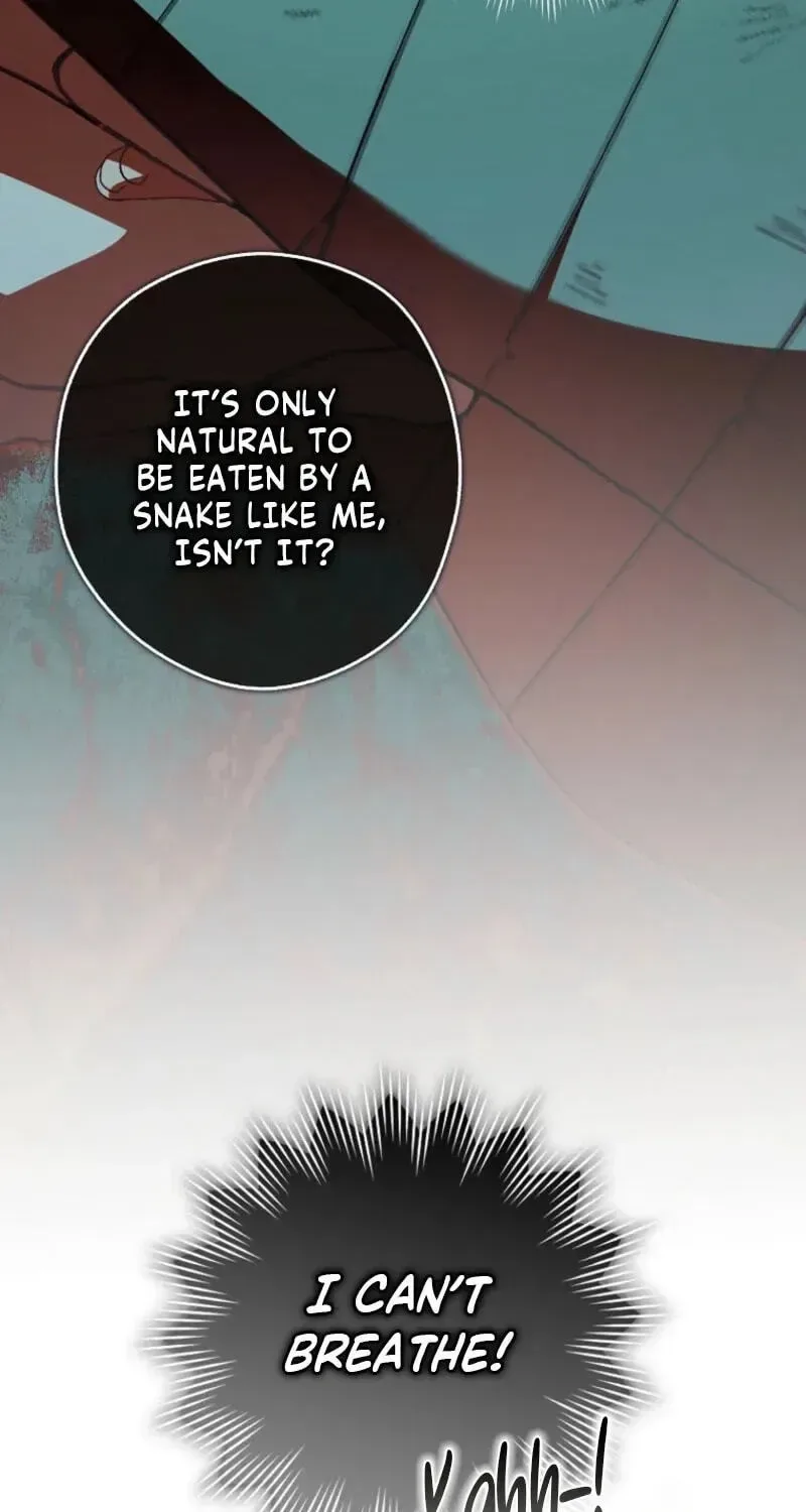 This wild mouse has taken Cinderella Chapter 48 page 63