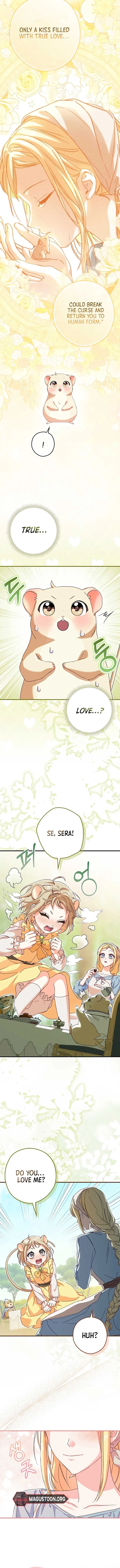 This wild mouse has taken Cinderella Chapter 6 page 10