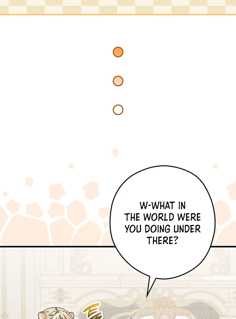This wild mouse has taken Cinderella Chapter 9 page 18