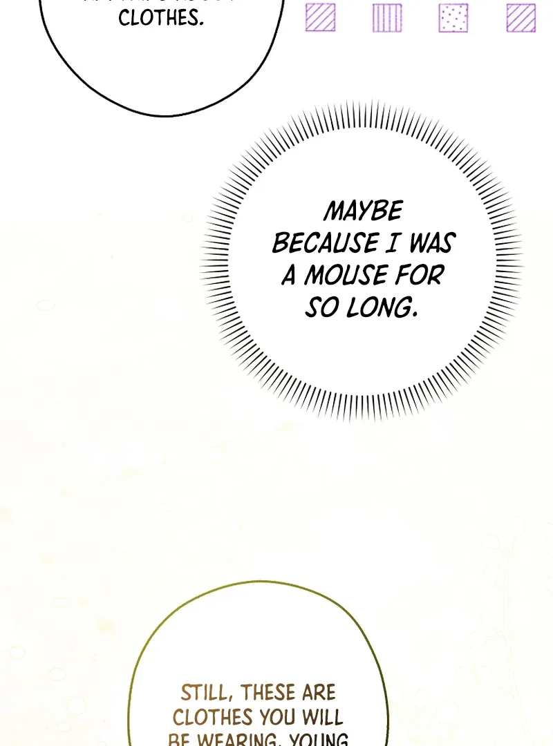 This wild mouse has taken Cinderella Chapter 9 page 27