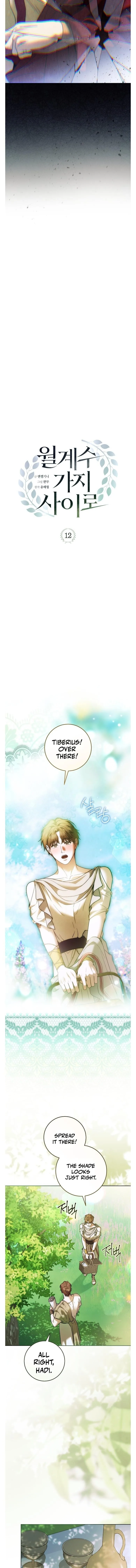 Through the Laurel Branches Chapter 12 page 6
